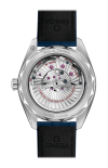 Omega | SEAMASTER AQUA TERRA 150M 41 MM, ACCIAIO SU PELLE - 220.13.41.21.03.003 (2)