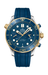 Omega | SEAMASTER DIVER 300M 44 MM, ACCIAIO-ORO GIALLO SU CAUCCI&Ugrave; - 210.22.44.51.03.001 (1)