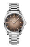 Omega | SEAMASTER RAILMASTER 38 MM, ACCIAIO SU ACCIAIO - 235.10.38.20.13.001 (1)