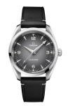 Omega | SEAMASTER RAILMASTER 38 MM, ACCIAIO SU PELLE - 235.12.38.20.06.001 (1)