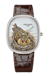 Patek Philippe | RARE HANDCRAFTS GUFO BRUNO, AUTOMATICO - LIMITED EDITION - 5738/50G-049 (1)