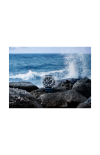 Panerai | SUBMERSIBLE GMT - PAM01495 (7)