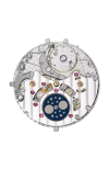 Patek Philippe | GRANDI COMPLICAZIONI, PERPETUAL CALENDAR - LIMITED EDITION - 7147G-010 (5)