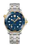 Omega | SEAMASTER DIVER 300M 42 MM, ACCIAIO-ORO GIALLO SU ACCIAIO-ORO GIALLO - 210.20.42.20.03.001 (1)