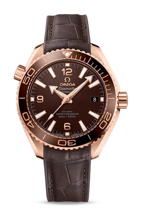 PLANET OCEAN 600M CO-AXIAL MASTER CHRONOMETER - CHOCOLATE - 215.63.40.20.13.001