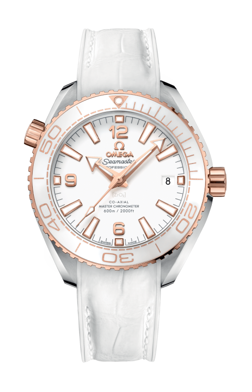 PLANET OCEAN 600M OMEGA CO-AXIAL MASTER CHRONOMETER 39,5 MM - 215.23.40.20.04.001