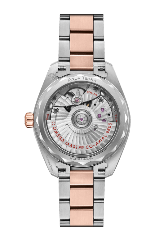 AQUA TERRA 150M CO‑AXIAL MASTER CHRONOMETER 34 MM - 220.20.34.20.59.001