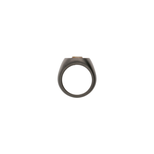 ANELLO CHEVALIER IN TITANIO SABBIATO CON DIAMANTI BROWN E CAMMEO FERRO DI CAVALLO - SAN5FDBR