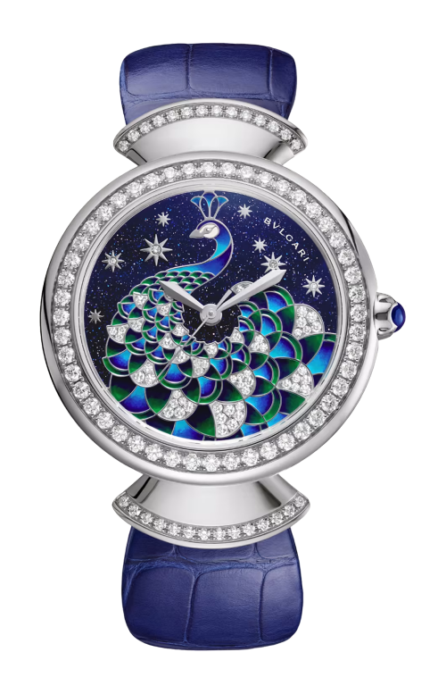 DIVAS' DREAM - DVW37PAGDL