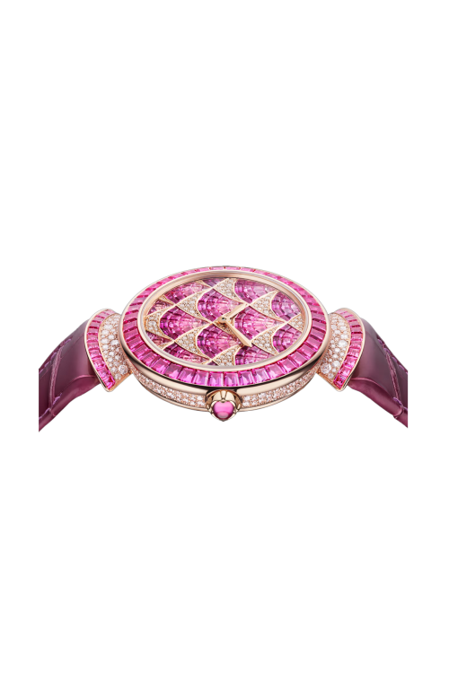 DIVAS' DREAM - 103492