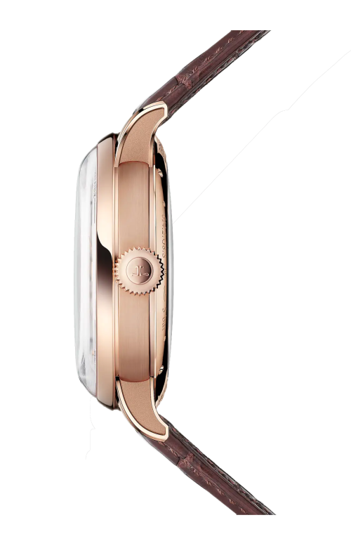 DUOMETRE HELIOTOURBILLON PERPETUAL - EDIZIONE LIMITATA - 6202420