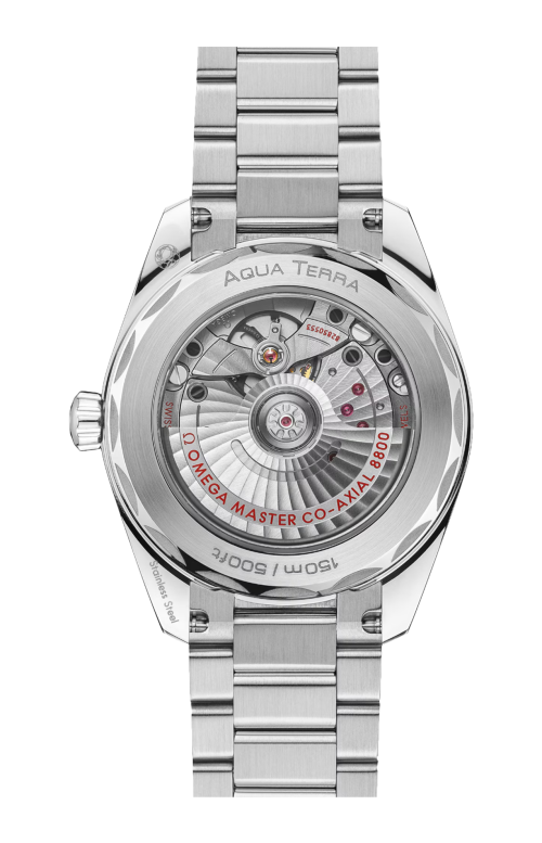 SEAMASTER ACQUA TERRA SHADES 38 MM, ACCIAIO SU ACCIAIO - 220.10.38.20.10.005