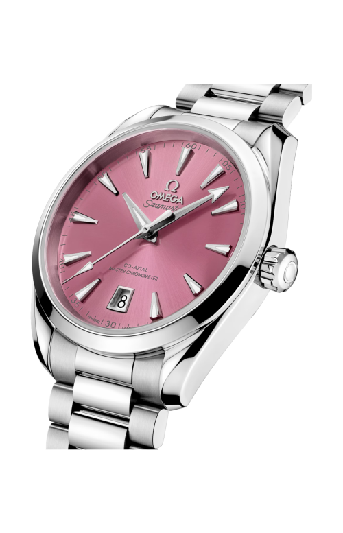 SEAMASTER ACQUA TERRA SHADES 38 MM, ACCIAIO SU ACCIAIO - 220.10.38.20.10.005
