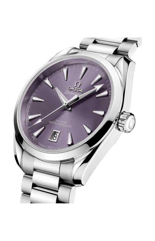 SEAMASTER ACQUA TERRA SHADES 38 MM, ACCIAIO SU ACCIAIO - 220.10.38.20.10.004