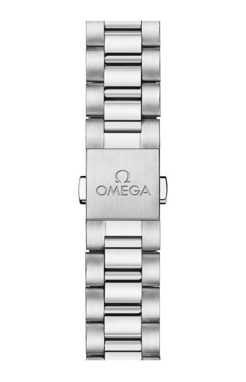 SEAMASTER ACQUA TERRA SHADES 38 MM, ACCIAIO SU ACCIAIO - 220.10.38.20.10.004
