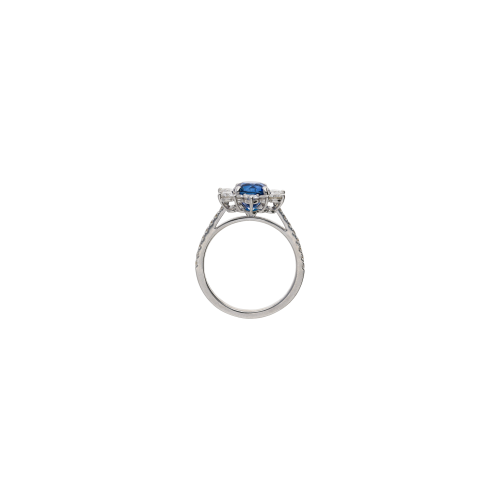 ANELLO ROSETTA IN ORO BIANCO CON ZAFFIRO BLU CENTRALE, CONTORNO DIAMANTI E SUL GAMBI - 326-AN465