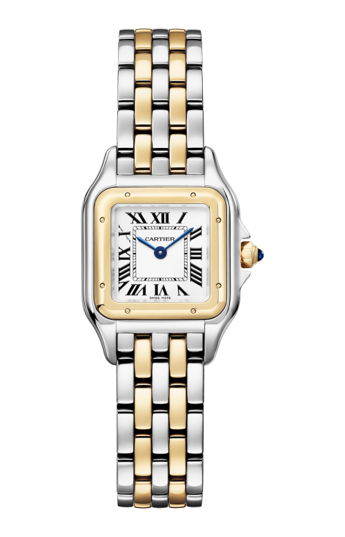 PANTHÈRE DE CARTIER MODELLO PICCOLO, ORO GIALLO, ACCIAIO, QUARZO - W2PN0018