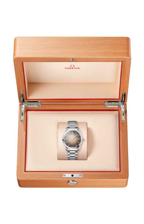 SEAMASTER RAILMASTER 38 MM, ACCIAIO SU ACCIAIO - 235.10.38.20.13.001