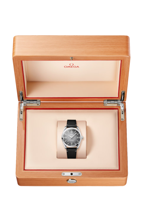 SEAMASTER RAILMASTER 38 MM, ACCIAIO SU PELLE - 235.12.38.20.06.001