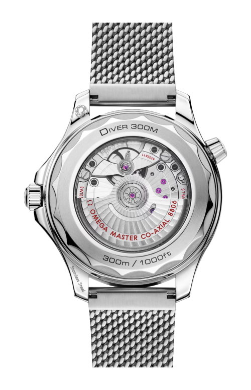 SEAMSSTER DIVER 300M 42 MM, ACCIAIO SU ACCIAIO - 210.30.42.20.01.018