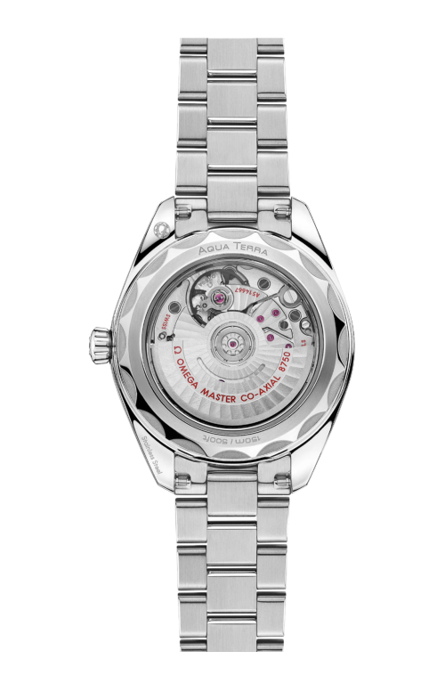 SEAMASTER AQUA TERRA 150M 30 MM, ACCIAIO SU ACCIAIO - 220.10.30.20.01.001