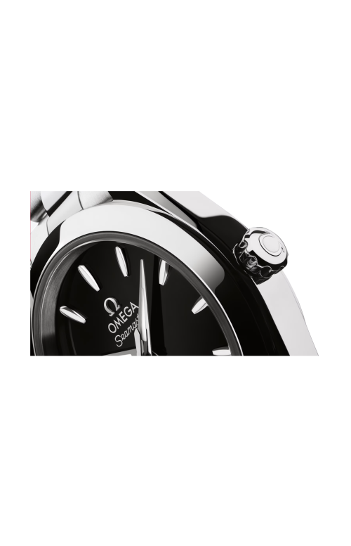 SEAMASTER AQUA TERRA 150M 30 MM, ACCIAIO SU ACCIAIO - 220.10.30.20.01.001