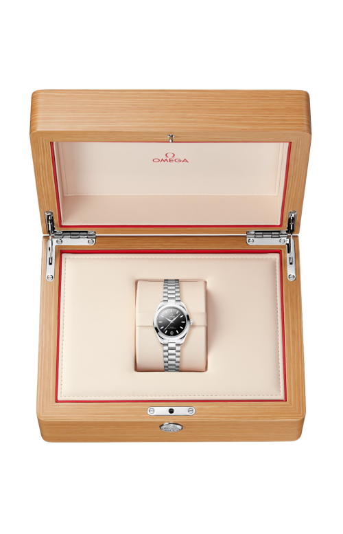 SEAMASTER AQUA TERRA 150M 30 MM, ACCIAIO SU ACCIAIO - 220.10.30.20.01.001