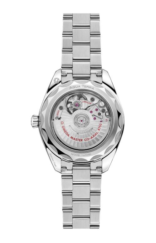 SEAMASTER AQUA TERRA 150M 30 MM, ACCIAIO SU ACCIAIO - 220.10.30.20.02.001