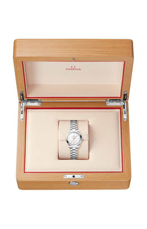 SEAMASTER AQUA TERRA 150M 30 MM, ACCIAIO SU ACCIAIO - 220.10.30.20.02.001