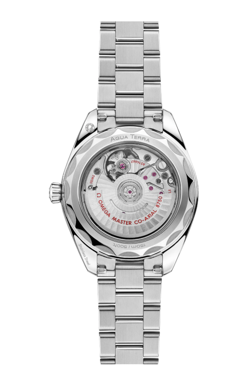 SEAMASTER AQUA TERRA 150M 30 MM, ACCIAIO SU ACCIAIO - 220.10.30.20.03.001