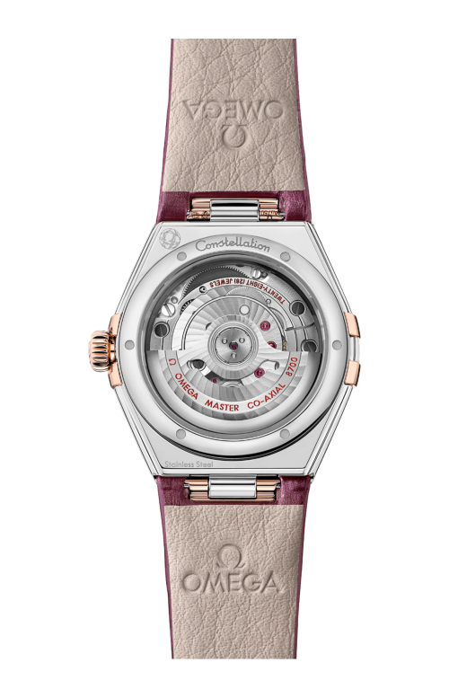 CONSTELLATION 29 MM, ACCIAIO-ORO SEDNA™ SU PELLE - 131.28.29.20.52.001