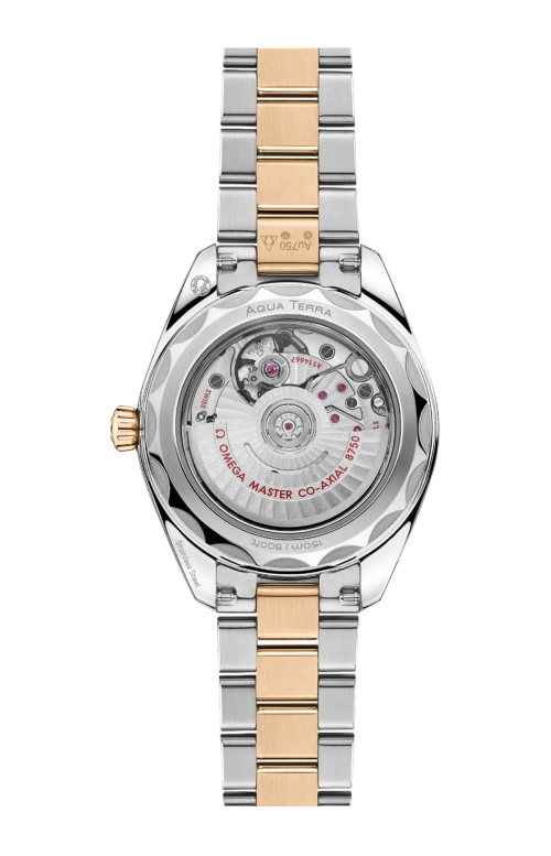 SEAMASTER AQUA TERRA 150M 30 MM, ACCIAIO-ORO MOONSHINE™ SU ACCIAIO-ORO MOONSHINE™ - 220.25.30.20.55.001