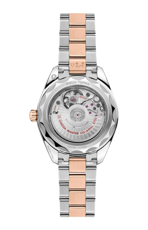 SEAMASTER AQUA TERRA 150M 30 MM, ACCIAIO-ORO SEDNA™ SU ACCIAIO-ORO SEDNA™ - 220.20.30.20.63.001