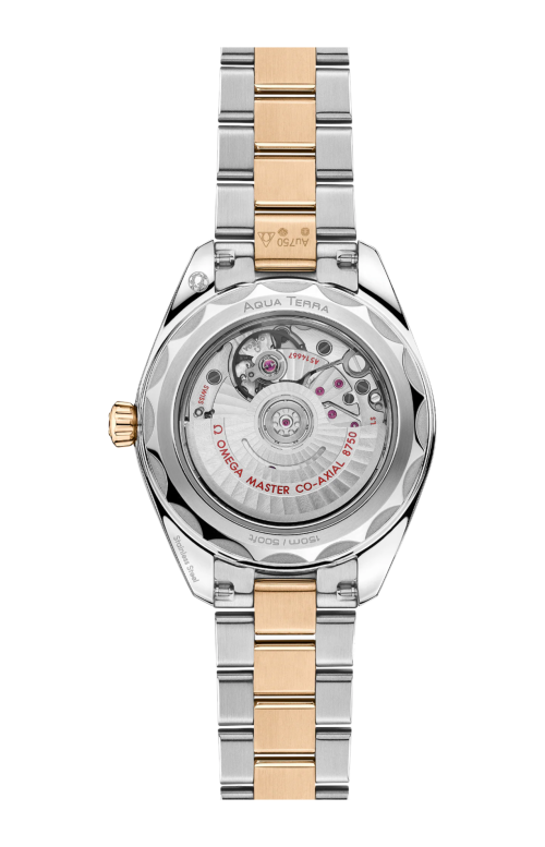 SEAMASTER AQUA TERRA 150M 30 MM, ACCIAIO-ORO MOONSHINE™ SU ACCIAIO-ORO MOONSHINE™ - 220.20.30.20.02.001