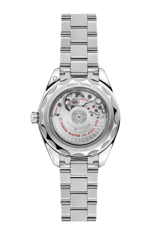 SEAMASTER AQUA TERRA 150M 30 MM, ACCIAIO SU ACCIAIO - 220.15.30.20.56.001