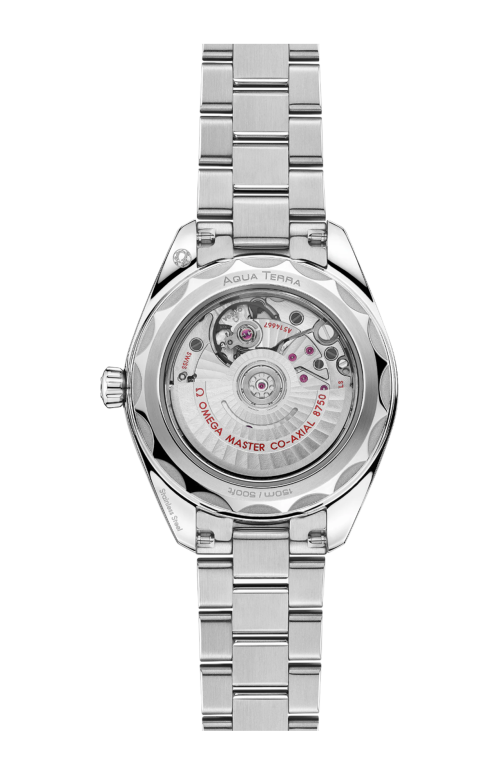 SEAMASTER AQUA TERRA 150M 30 MM, ACCIAIO SU ACCIAIO - 220.10.30.20.10.002