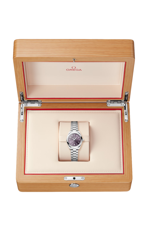 SEAMASTER AQUA TERRA 150M 30 MM, ACCIAIO SU ACCIAIO - 220.10.30.20.10.002