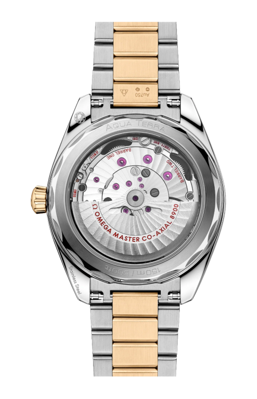 SEAMASTER AQUA TERRA 150M 41 MM, ACCIAIO-ORO MOONSHINE™ SU ACCIAIO-ORO MOONSHINE™ - 220.20.41.21.01.001