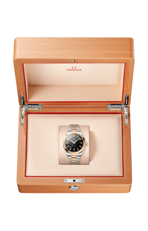 SEAMASTER AQUA TERRA 150M 41 MM, ACCIAIO-ORO MOONSHINE™ SU ACCIAIO-ORO MOONSHINE™ - 220.20.41.21.01.001