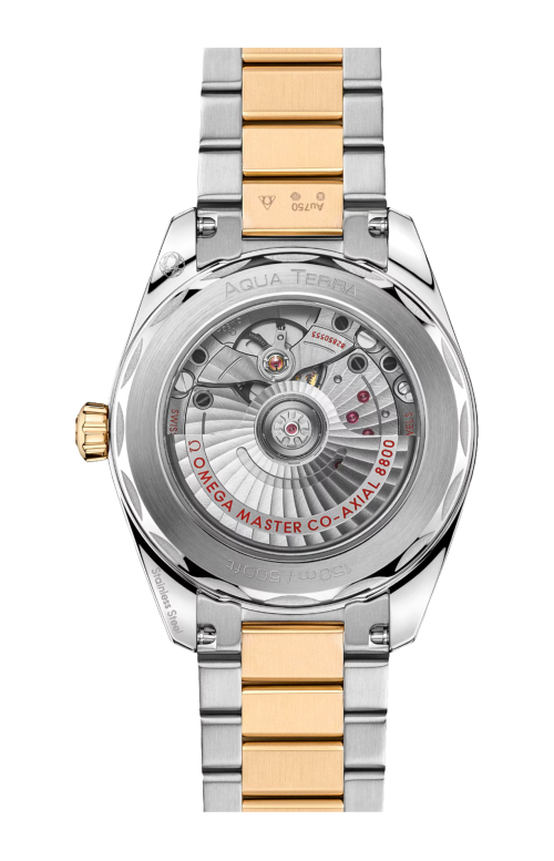 SEAMASTER AQUA TERRA 150M 38 MM, ACCIAIO-ORO MOONSHINE™ SU ACCIAIO-ORO MOONSHINE™ - 220.20.38.20.10.002