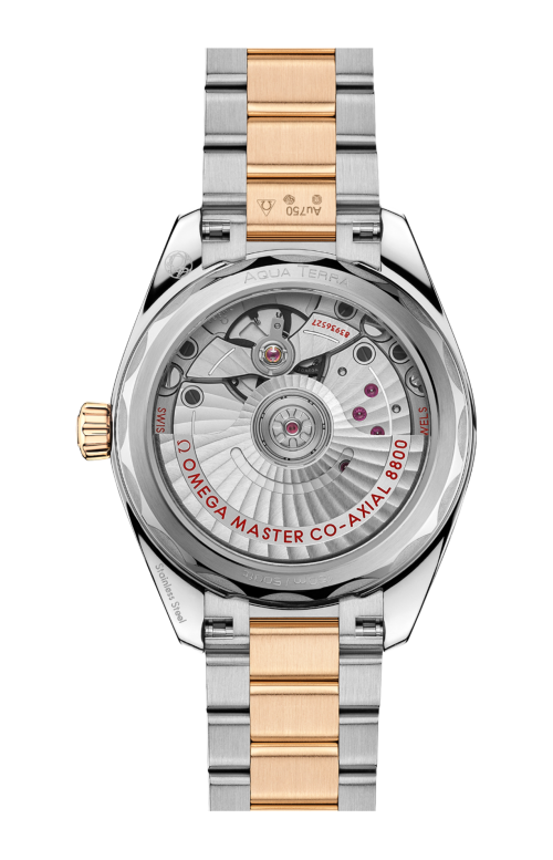 SEAMASTER AQUA TERRA SHADES 34 MM, ACCIAIO-ORO MOONSHINE™ SU ACCIAIO-ORO MOONSHINE™ - 220.20.34.20.10.002