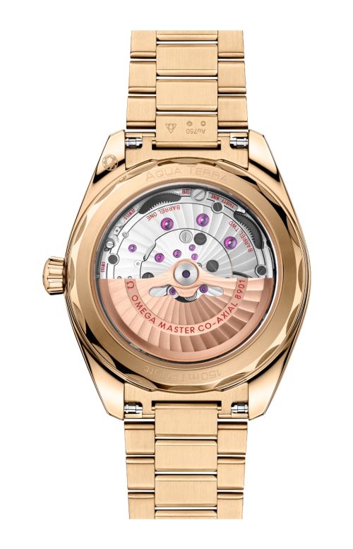 SEAMASTER AQUA TERRA 150M 41 MM, ORO MOONSHINE™ SU ORO MOONSHINE™ - 220.50.41.21.10.001