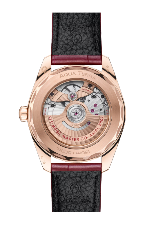 SEAMASTER AQUA TERRA 150M 38 MM, ORO SEDNA™ SU PELLE - 220.58.38.20.99.007