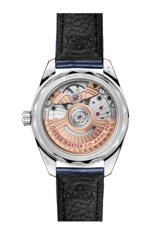SEAMASTER AQUA TERRA 150M 34 MM, ORO CANOPUS GOLD™ SU PELLE - 220.58.34.20.99.007