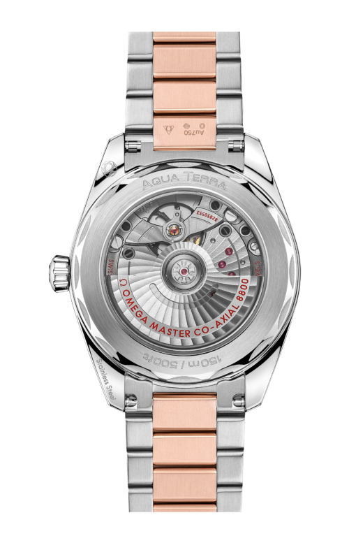 SEAMASTER AQUA TERRA SHADES 38 MM, ACCIAIO-ORO SEDNA™ SU ACCIAIO-ORO SEDNA™ - 220.20.38.20.09.001