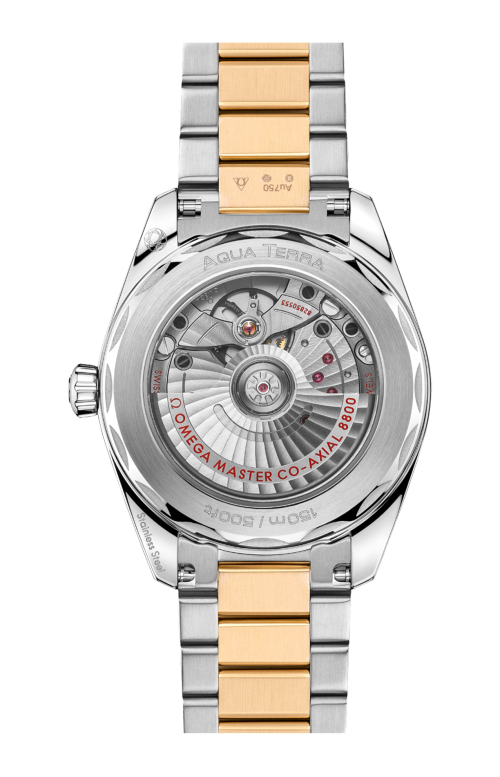 SEAMASTER AQUA TERRA SHADES 38 MM, ACCIAIO-ORO MOONSHINE™ SU ACCIAIO-ORO MOONSHINE™ - 220.20.38.20.02.002