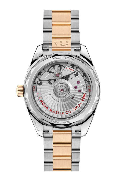 SEAMASTER AQUA TERRA SHADES 34 MM, ACCIAIO-ORO MOONSHINE™ SU ACCIAIO-ORO MOONSHINE™ - 220.20.34.20.08.001