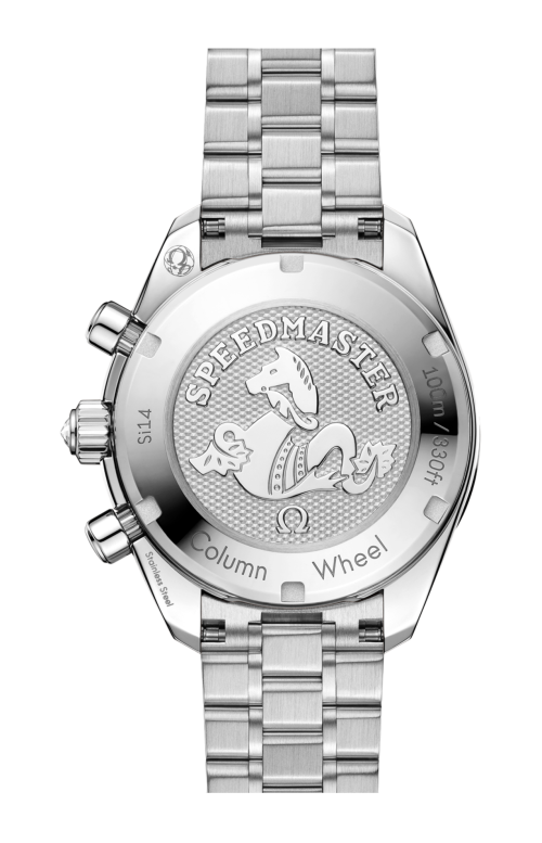SPEEDMASTER 38 MM, ACCIAIO SU ACCIAIO - 324.15.38.50.60.001