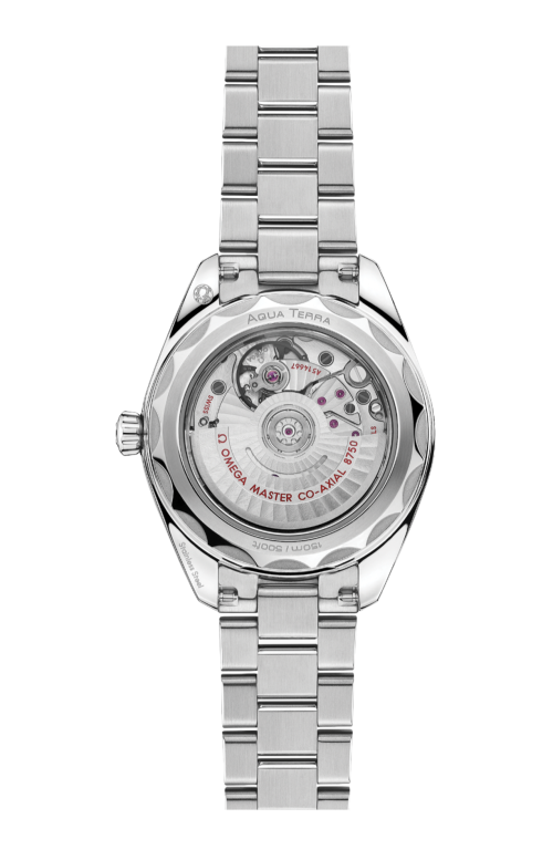 SEAMASTER AQUA TERRA 150M 30 MM, ACCIAIO SU ACCIAIO - 220.10.30.20.09.001