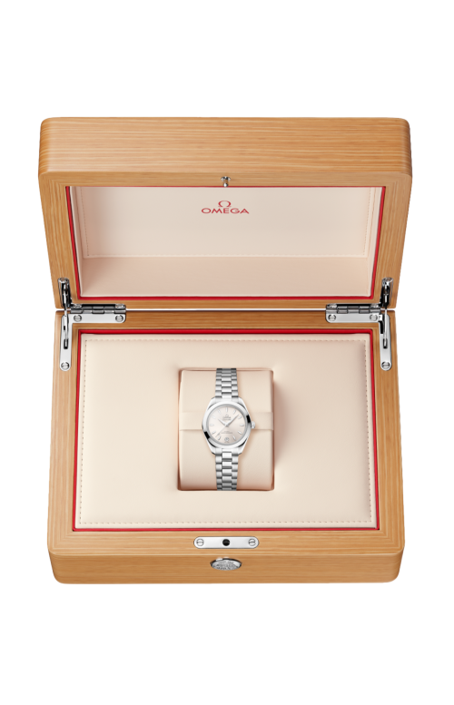 SEAMASTER AQUA TERRA 150M 30 MM, ACCIAIO SU ACCIAIO - 220.10.30.20.09.001